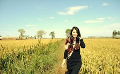 早就想在书房办了你疼短文